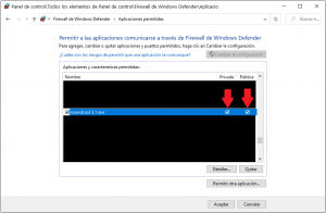 Dar-permisos-a-Soundcool-en-el-Firewall-de-Windows-paso-2-4